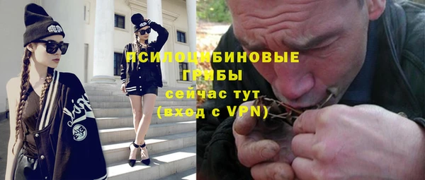мяу мяу мука Няндома