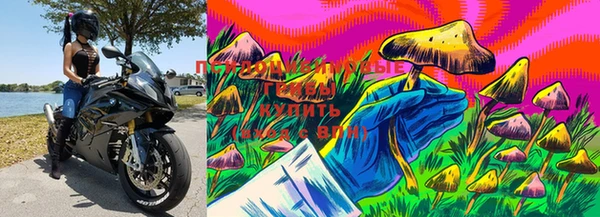 таблы Нягань