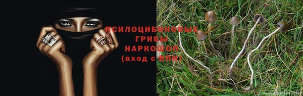 спайс Осташков