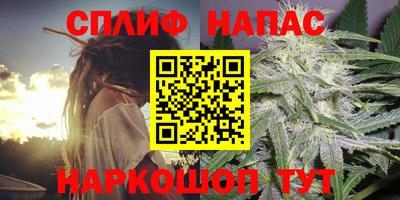 дмт Камень-на-Оби