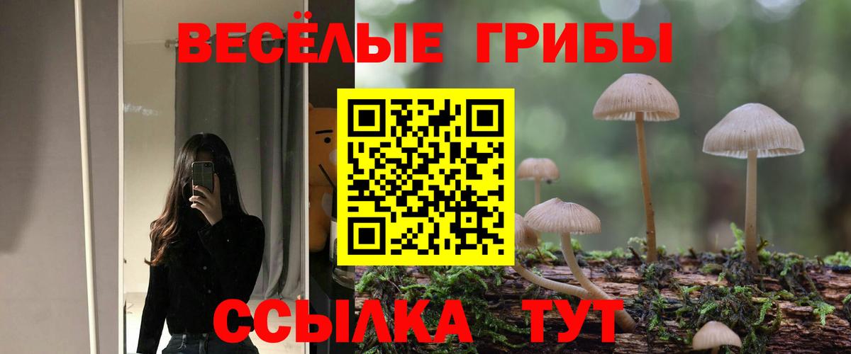 Псилоцибиновые грибы мухоморы Курск