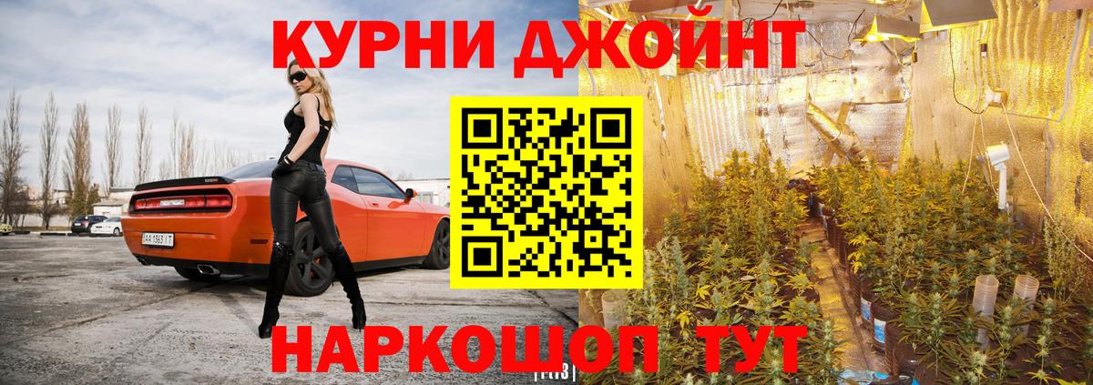 Курск  Марихуана сатива  Каннабис конопля  Конопля Ganja  Вход с VPN 